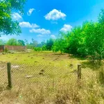 Bán đất 400m2 full thổ cư gần biển La Gi, 1,5 tỷ - Ảnh thu nhỏ 3