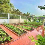 Bán nhà sân vườn 310m² 2PN tại Cần Giuộc Long An 2 tỷ 780 triệu - Ảnh thu nhỏ 2