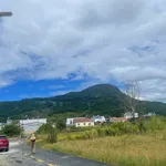 Bán đất thổ cư 136m² chân đèo Prenn Đà Lạt 1,23 tỷ - Ảnh thu nhỏ 1