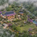 Bán đất Măng Đen 500m² view suối, Kon Tum - Ảnh thu nhỏ 3