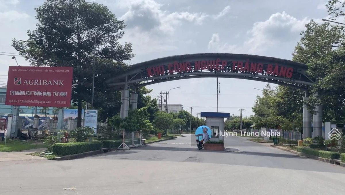 Chủ bán nhanh dãy trọ 10 phòng thu nhập ổn định. Giá 850Tr ở đối diện KCN Trảng Bàng - Tây Ninh - Ảnh thu nhỏ 5