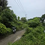 Bán đất tại phường 5, Sóc Trăng, 1,3 tỷ, 727m2, view đẹp, giá ưu đãi - Ảnh thu nhỏ 10