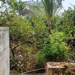 Bán nhà sổ riêng 204m² ở Xã La Ngà, Đồng Nai, 890 triệu - Ảnh thu nhỏ 4