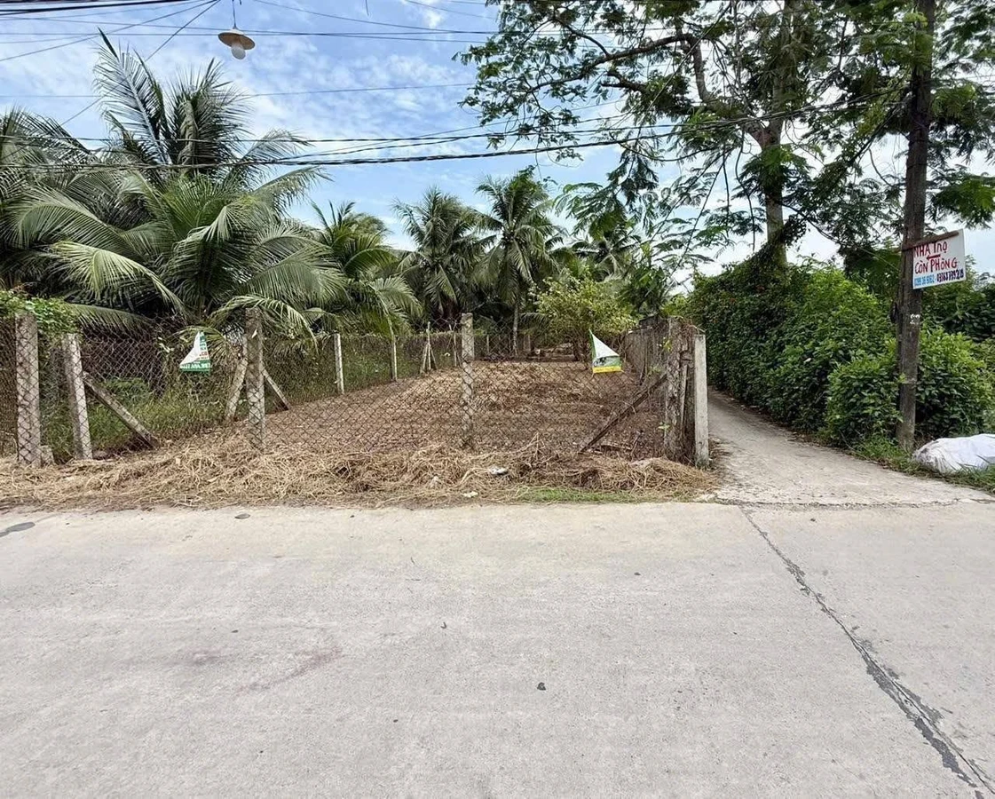 Bán đất mặt tiền 300m² Châu Thành, Bến Tre 1 tỷ 350 - Ảnh thu nhỏ 3