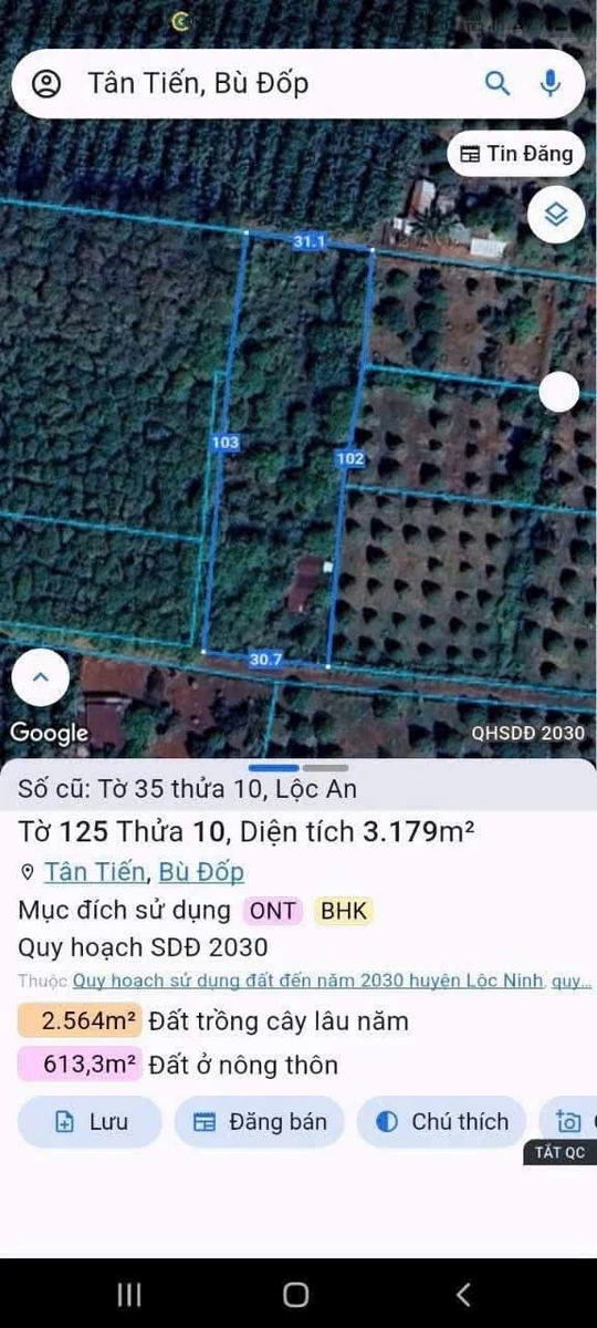Bán đất 3200m² mặt tiền Ấp 6 Lộc An, Hóc Môn - 700 triệu - Ảnh 1