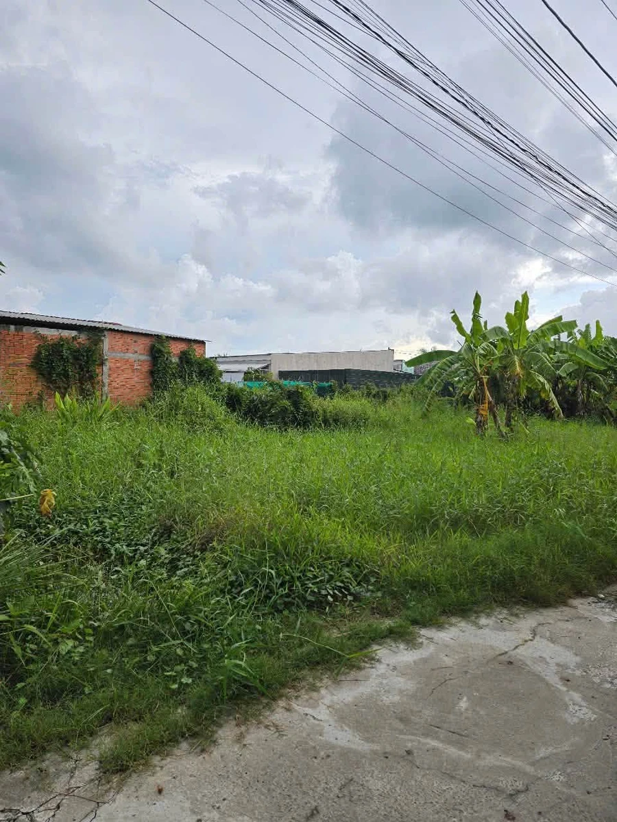 Bán nền đất 158,8m² khu dân cư cầu Phú Dân, Phú Tân, Vĩnh Long - Ảnh thu nhỏ 2