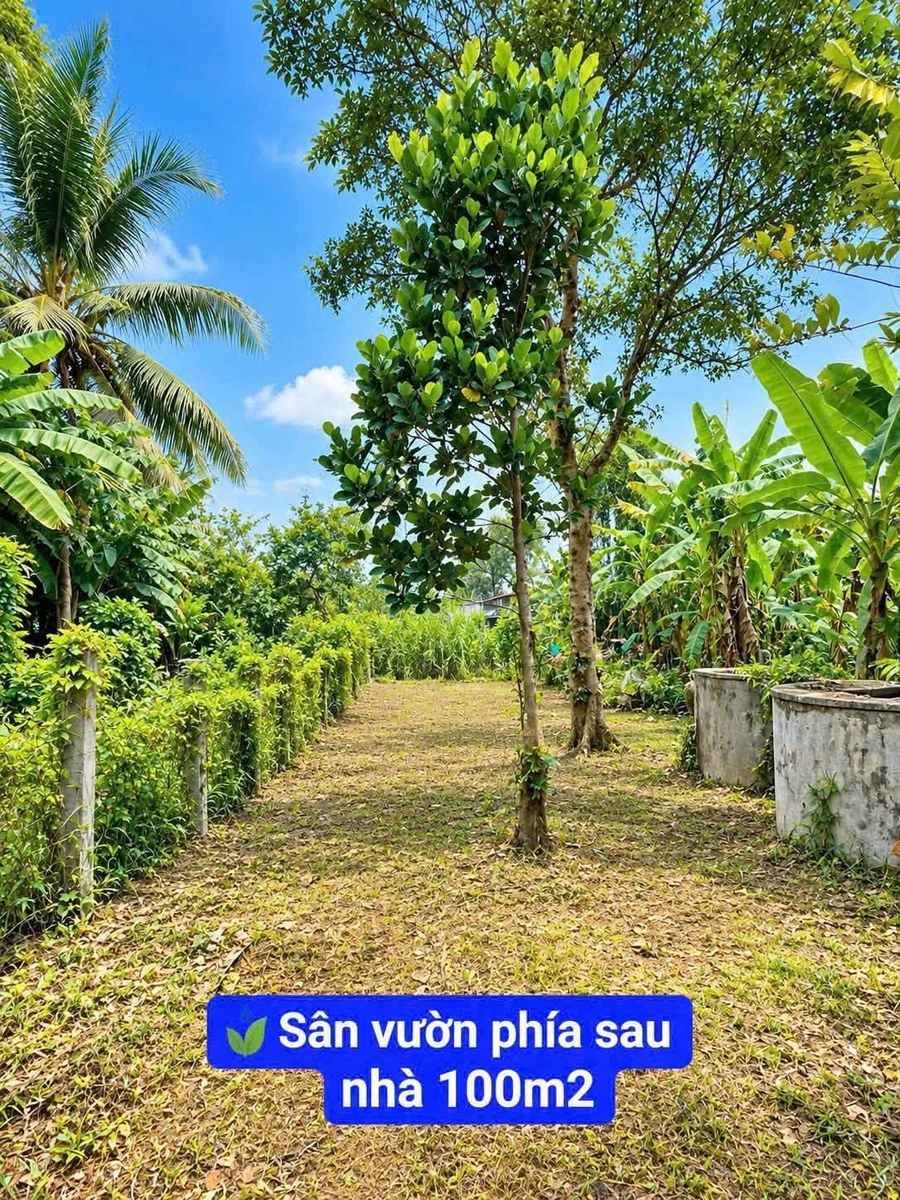 Bán nhà 2PN 243m2 đất thổ gần chợ Đức Tân, Tân Phú - Ảnh thu nhỏ 3
