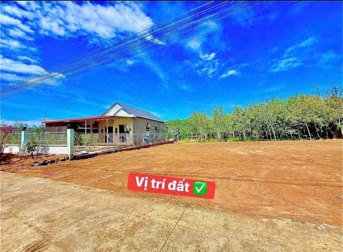 Bán đất 2 sào Xã Phước Thành, Cần Giờ - Ảnh 1