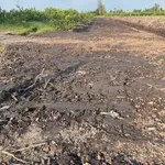 Bán đất vườn 1000m² Tân Thành Thủ Thừa Long An - Ảnh thu nhỏ 2