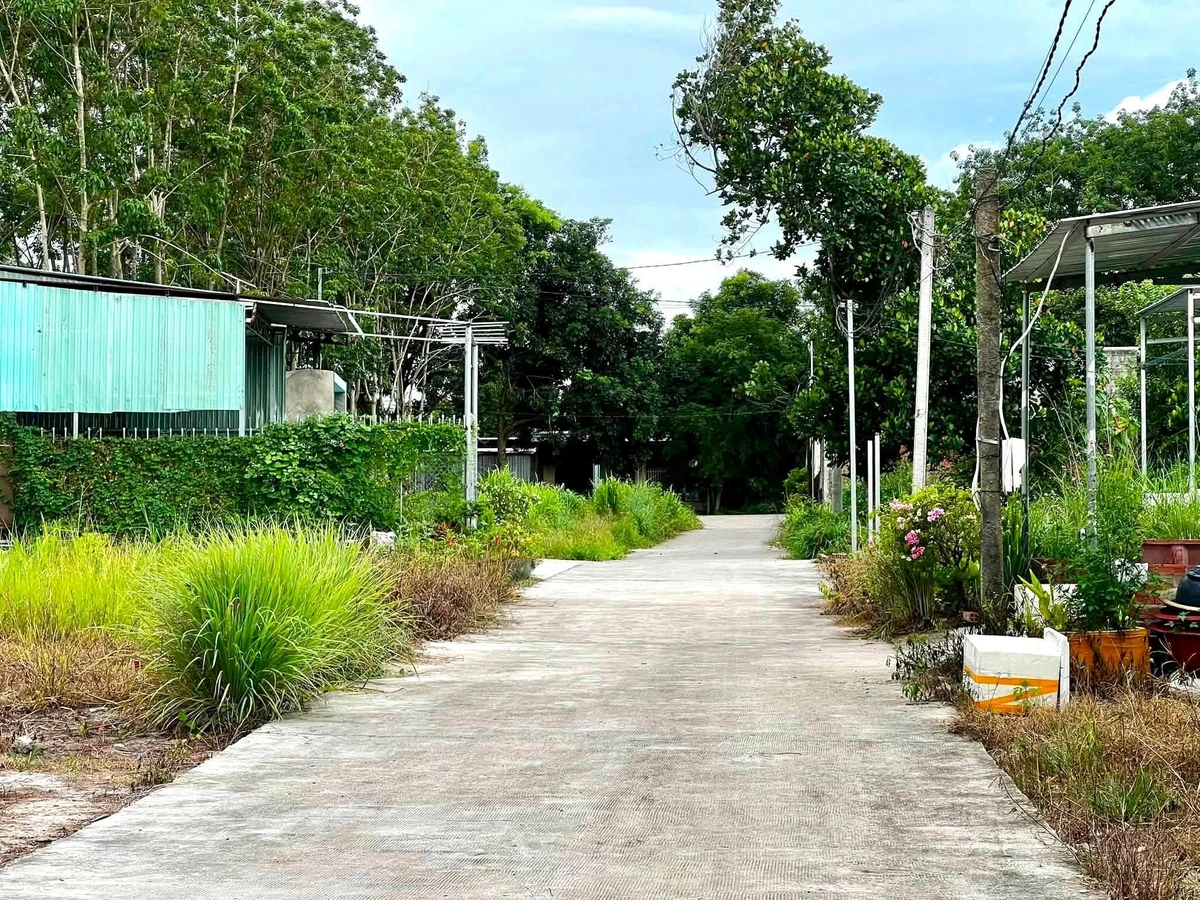 Đất bán Chơn Thành Bình Phước 50m² 600 triệu - Ảnh thu nhỏ 2