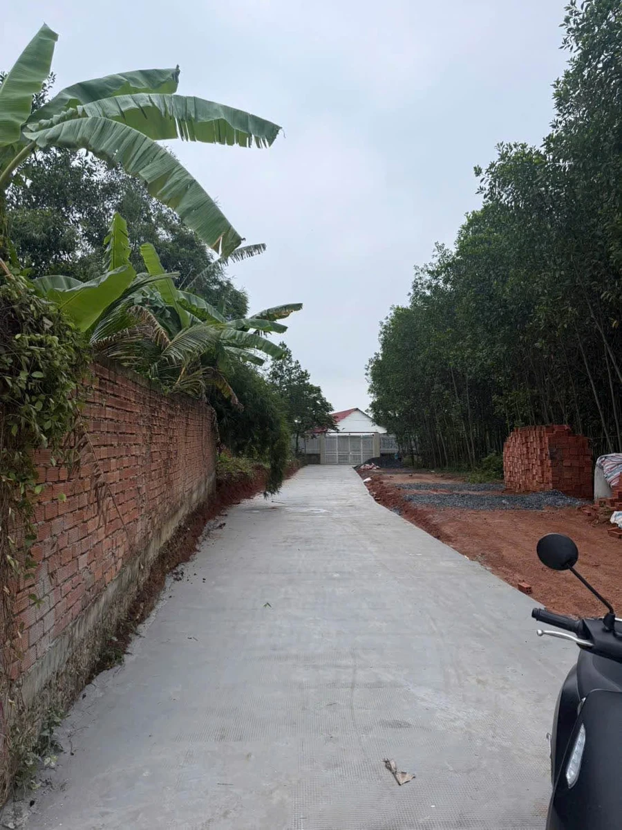 Bán đất Tân Triều 5x20m (100m²) gần Biên Hòa 800 triệu - Ảnh thu nhỏ 3
