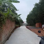 Bán đất Tân Triều 5x20m (100m²) gần Biên Hòa 800 triệu - Ảnh thu nhỏ 3