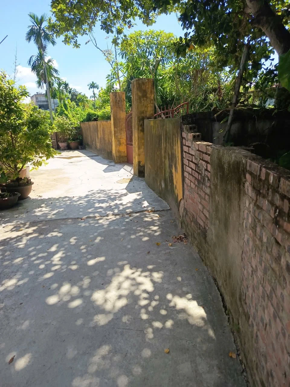 Bán nhà 3 tầng 110m2 góc 2 mặt hẻm Ngô Mây Quy Nhơn mieunha - Ảnh 1