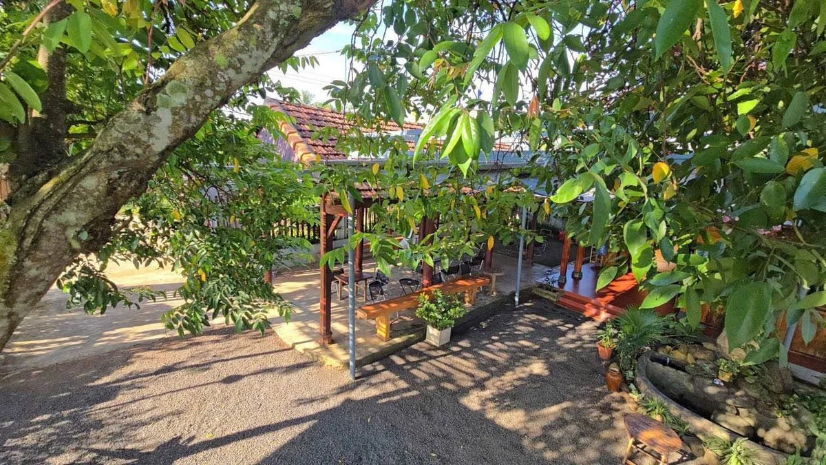 Bán đất 233m2 thổ cư 60m2 view ruộng Buôn Ma Thuột 1 tỷ 790 - Ảnh thu nhỏ 3