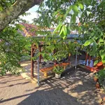 Bán đất 233m2 thổ cư 60m2 view ruộng Buôn Ma Thuột 1 tỷ 790 - Ảnh thu nhỏ 3