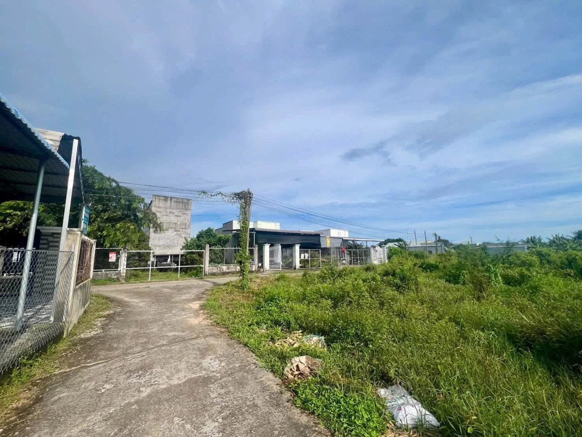 Bán đất sào lô góc 1120m² Hàm Hiệp, Bình Thuận - Ảnh thu nhỏ 4