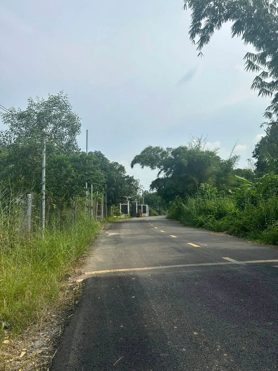 Bán đất thổ cư 3700m2 mặt tiền 100m, đường nhựa 7m tại Tân Uyên, Bình Dương - Ảnh thu nhỏ 2