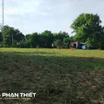 Bán đất 2542 m² Phú Thủy với nhà cấp 4, 800 triệu - Ảnh thu nhỏ 3