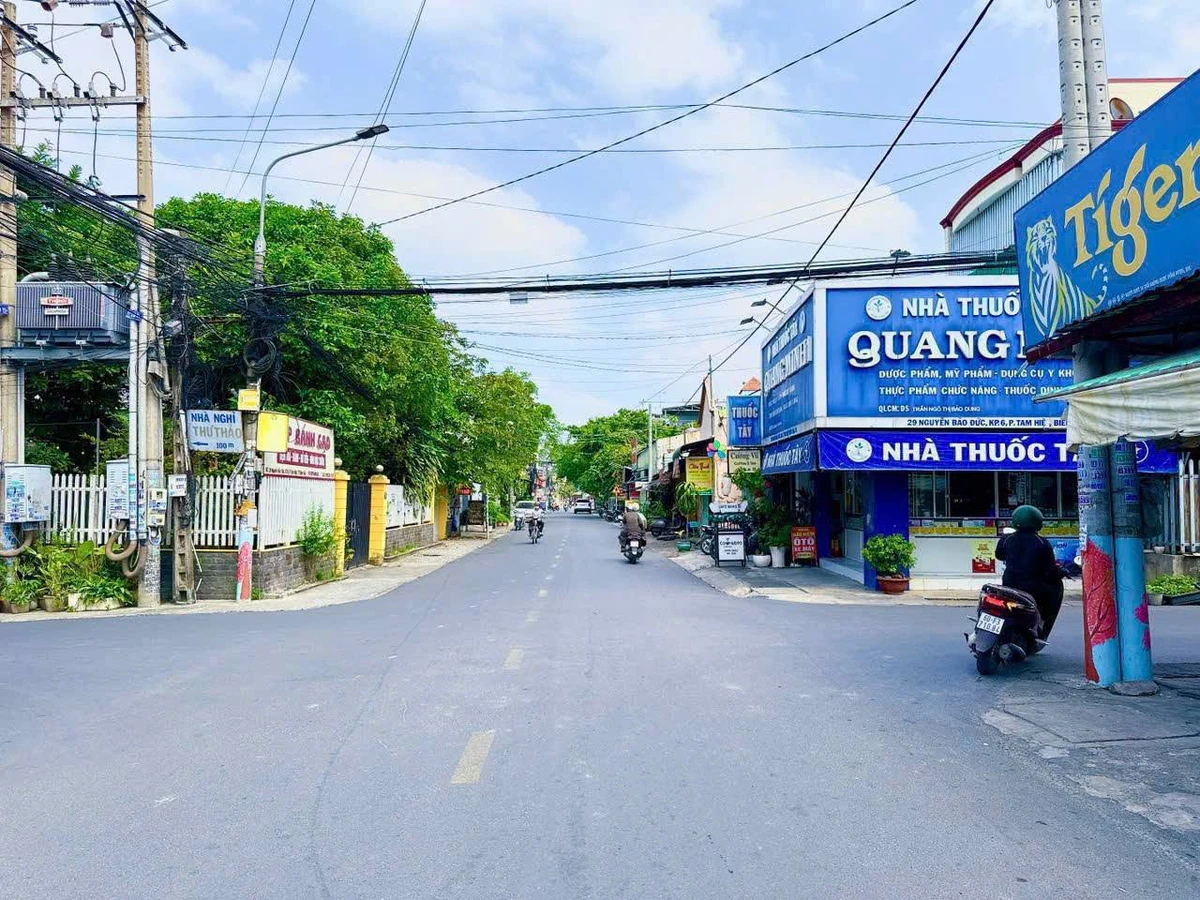 Bán nhà 1 lầu 1 trệt 192m2 Lý Văn Sâm, Tam Hiệp - Ảnh thu nhỏ 2