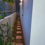 Nhà bán 2 mặt tiền Thạnh Nhất Nhà Bè 255m² 1,65 tỷ - Ảnh thu nhỏ 4