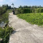 Bán đất vườn 420m² Hiệp Thạnh, Long An - Ảnh thu nhỏ 4