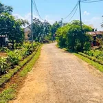Bán đất 438m2 Xuân Phú Bình Chánh, giá trên 700 triệu - Ảnh thu nhỏ 2