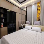 Bán nhà gần Sân Bay, Quận Gò Vấp, Giá 3 Tỷ 360, 42m2, sổ chính chủ, đang cho thuê 18tr/tháng - Ảnh thu nhỏ 11