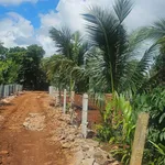 Bán đất nông nghiệp 500m2 Bình Mỹ 759 triệu - Ảnh thu nhỏ 2
