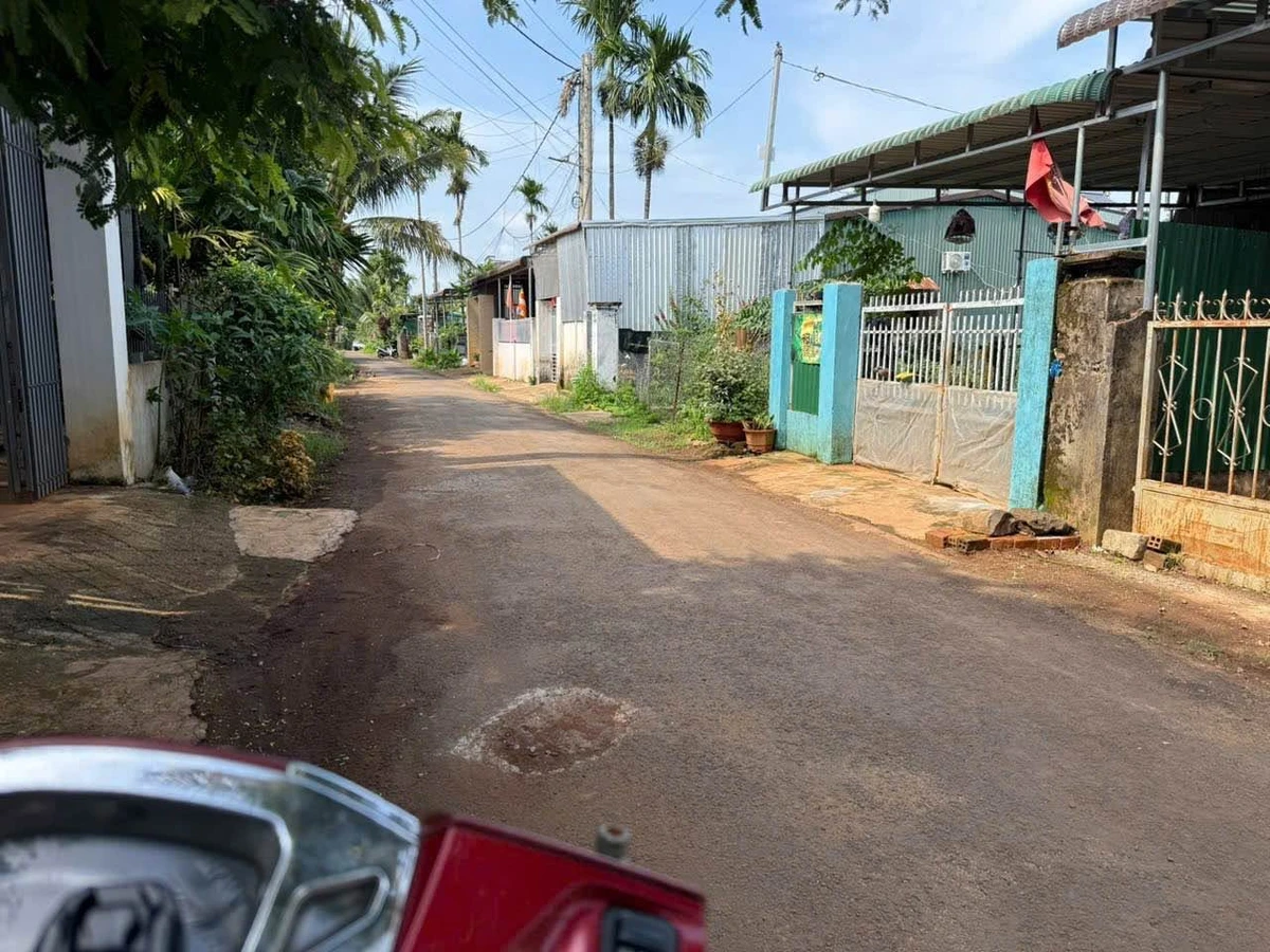 Bán đất hẻm 232 Nguyễn Thái Bình Tân Lập, Buôn Ma Thuột, 170m² - Ảnh thu nhỏ 2