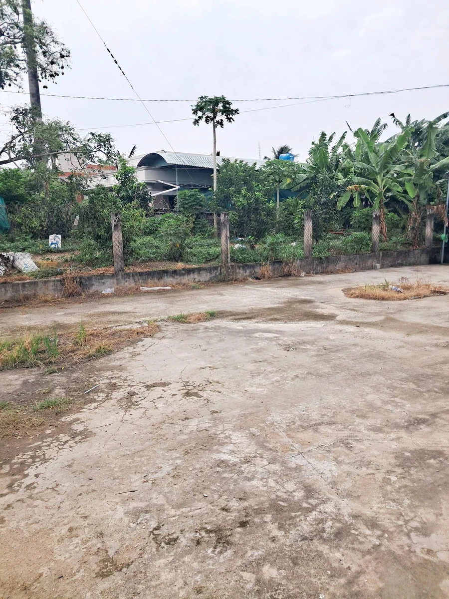 Bán đất mặt tiền Quốc lộ 50, 822,5m2, An Thạnh Thủy, Chợ Gạo, Tiền Giang - 3,7 tỷ - Ảnh thu nhỏ 2