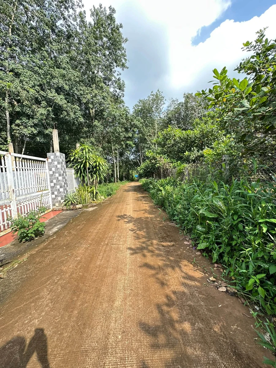 Bán đất 8.000m² Châu Đức, giá 700tr/1.000m² - Ảnh thu nhỏ 2
