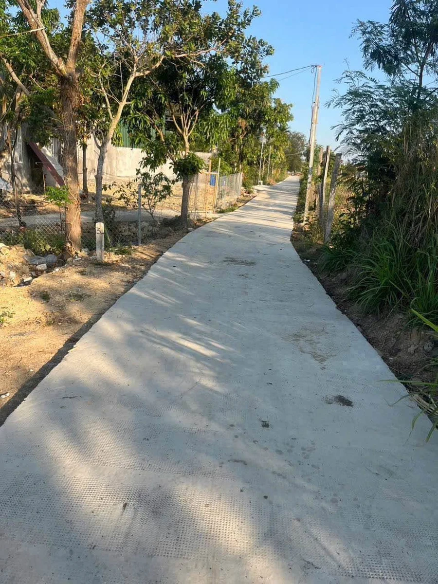 Bán lô đất thổ cư mặt tiền 222m² tại Lâm Đồng - Ảnh thu nhỏ 3