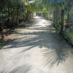 Bán đất vườn dừa 1.100m2 An Khánh Bến Tre - Ảnh thu nhỏ 1