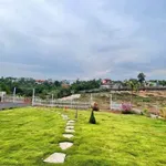 Bán 2.7 sào nhà vườn hẻm Y Moan, Cần Giờ 3.5 tỷ - Ảnh thu nhỏ 2