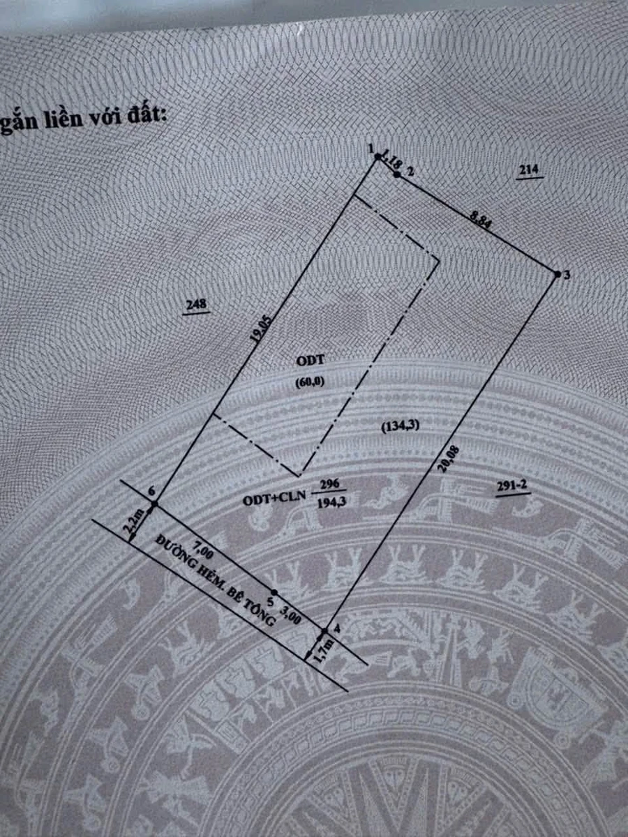 Bán đất Hiệp Thành 194m² - Bình Dương 2,25 tỷ - Ảnh thu nhỏ 4