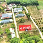 390tr thương lượng mạnh. Bán đất đường nhựa tại Xã Phước Thạnh, Gò Dầu, Tây Ninh, 137,1m² thổ cư - Ảnh thu nhỏ 8