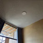 Bán hoặc cho thuê nhà 3 phòng ngủ 40m2 đường Nguyễn Hoàng, Đà Lạt - Ảnh thu nhỏ 4
