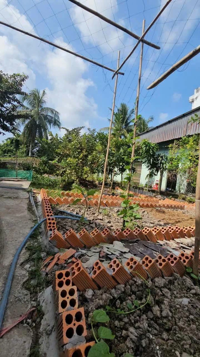 Nhà vườn 360m² với ao cá, vườn cây tại Cà Mau - Ảnh thu nhỏ 3