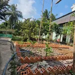Nhà vườn 360m² với ao cá, vườn cây tại Cà Mau - Ảnh thu nhỏ 3