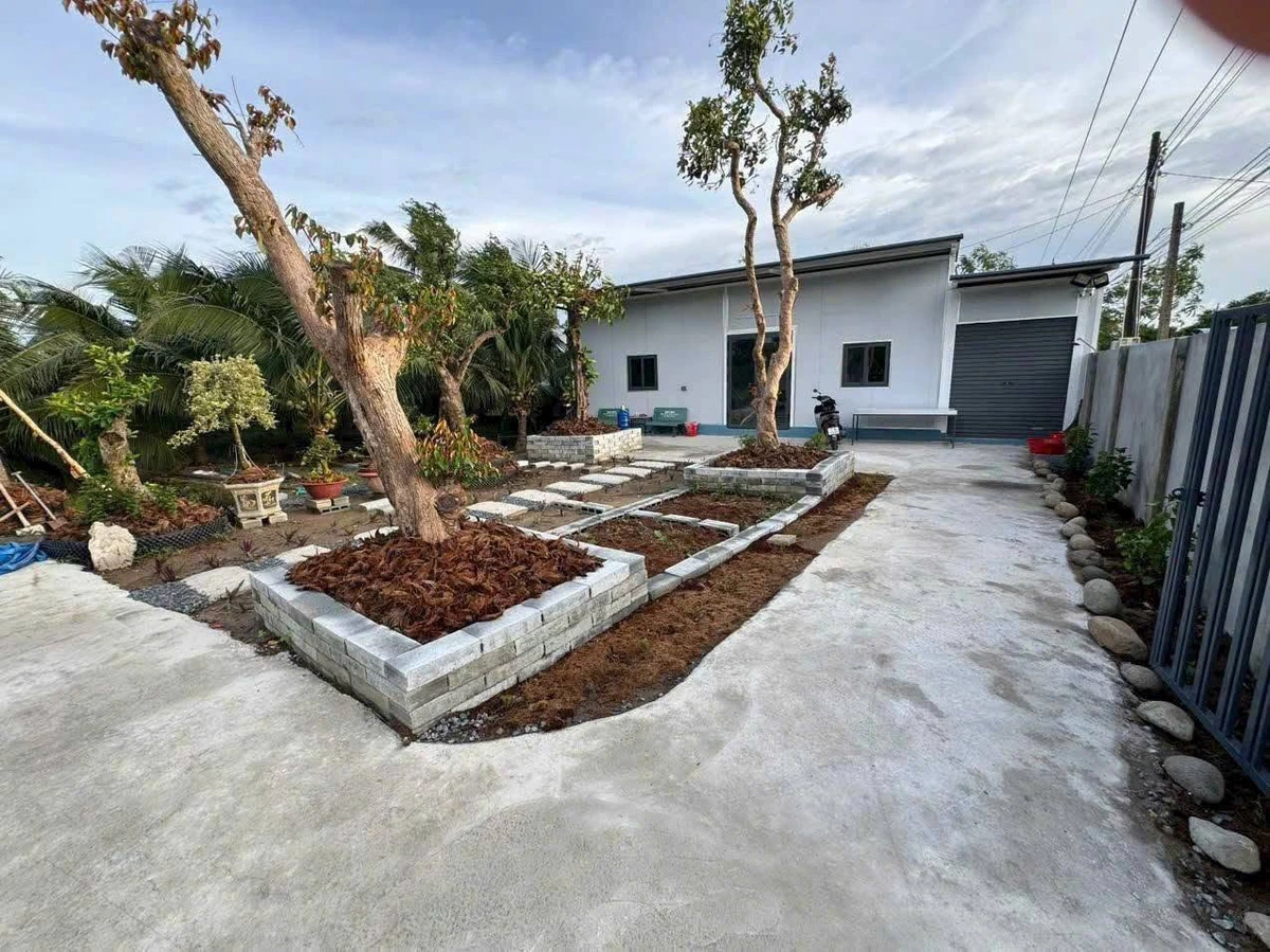 Bán vườn dừa mặt tiền lộ nhựa 8400m² Cần Giờ - Ảnh thu nhỏ 2