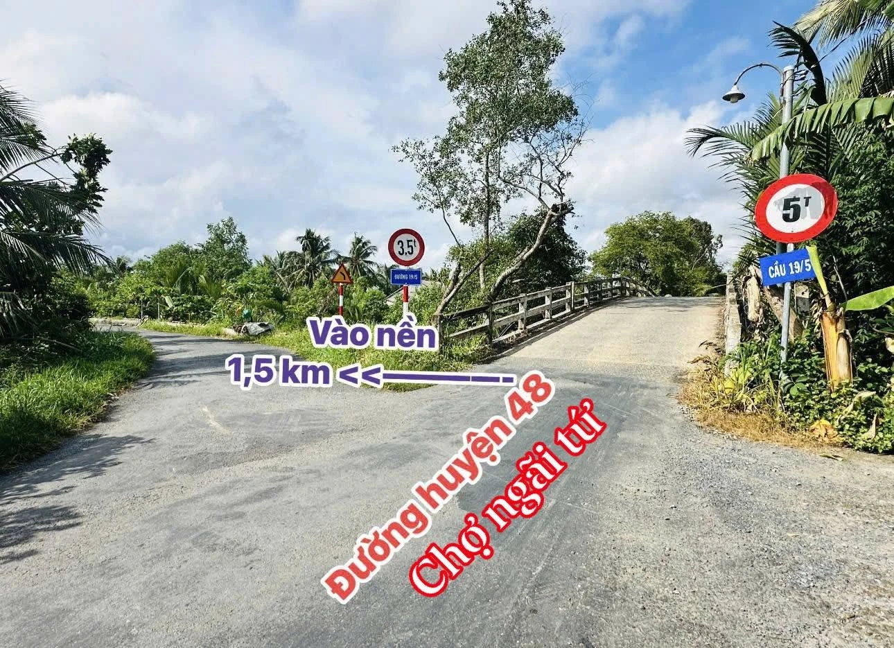 Bán đất nền 173m² Hóc Môn, gần chợ Ngãi Tứ - Ảnh 1