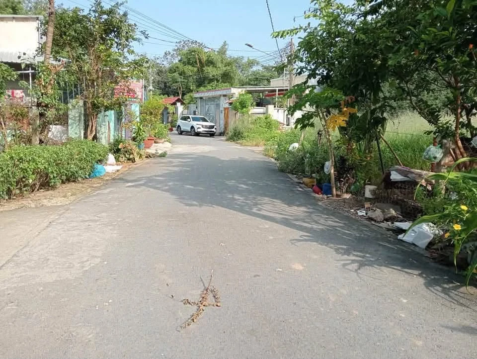 Bán lô đất full thổ cư Phú An, Thủ Đức, giá 1 tỷ 300 triệu - Ảnh thu nhỏ 2
