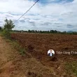 1948m2 (sẵn 230m2 đất ở) - mặt tiền 30m - Ảnh thu nhỏ 8