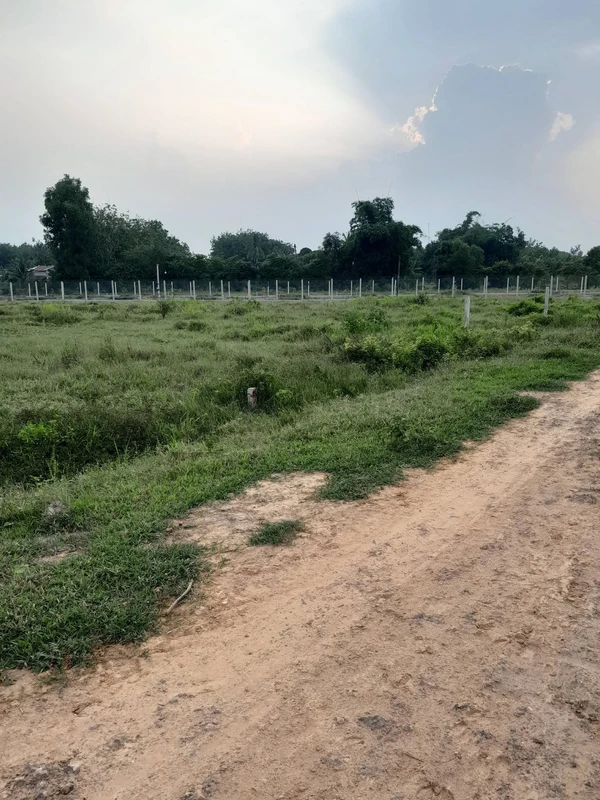 Bán đất 1.000m² An Cơ, Tây Ninh, giá 199 triệu