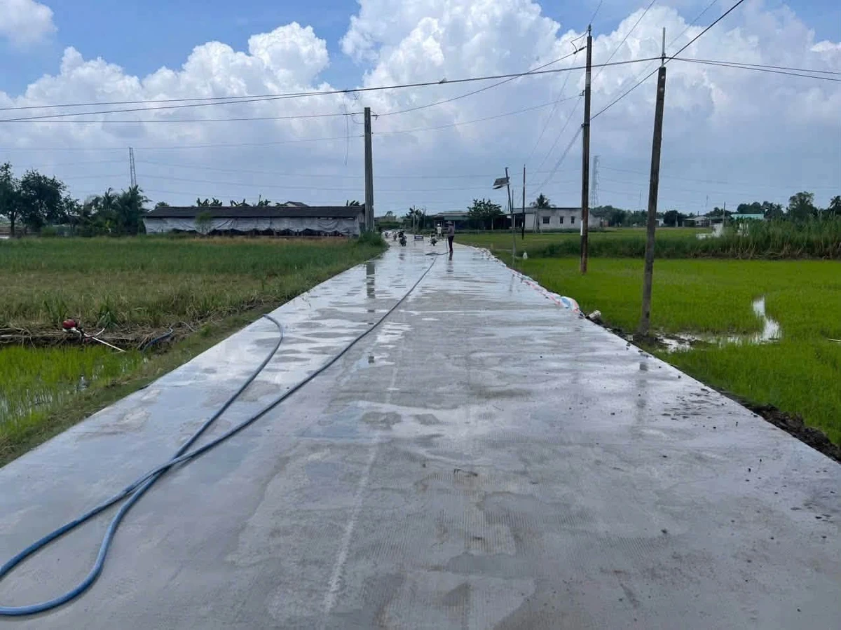 Bán đất thổ cư mặt tiền Huỳnh Ngọc Xinh Tân Trụ 480-650 triệu - Ảnh thu nhỏ 2