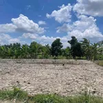 Bán đất vườn 1540m² Xã Vĩnh Công Tây Ninh giá 999 triệu - Ảnh thu nhỏ 2