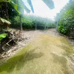 Bán đất 3,1 sào mặt tiền sát đường Cẩm Mỹ - Ảnh thu nhỏ 1