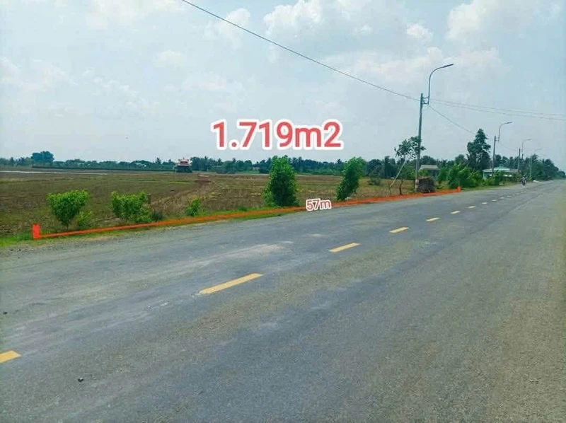 Bán đất nông nghiệp 1719m² mặt tiền 832 Tân Trụ