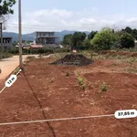 Bán đất nên sát UBND xã Hướng Phùng Quảng Trị. Diện tích 457m2 - Ảnh thu nhỏ 5