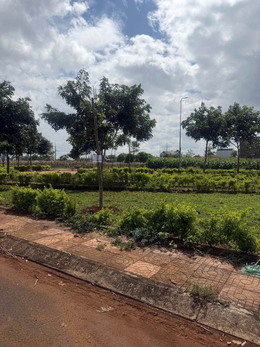 Bán cặp đất đấu giá 132m² view hoàng viên Tân An 3,4 tỷ - Ảnh thu nhỏ 3